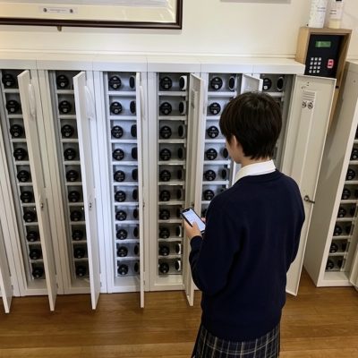 School Extra Secure Phone Lockers